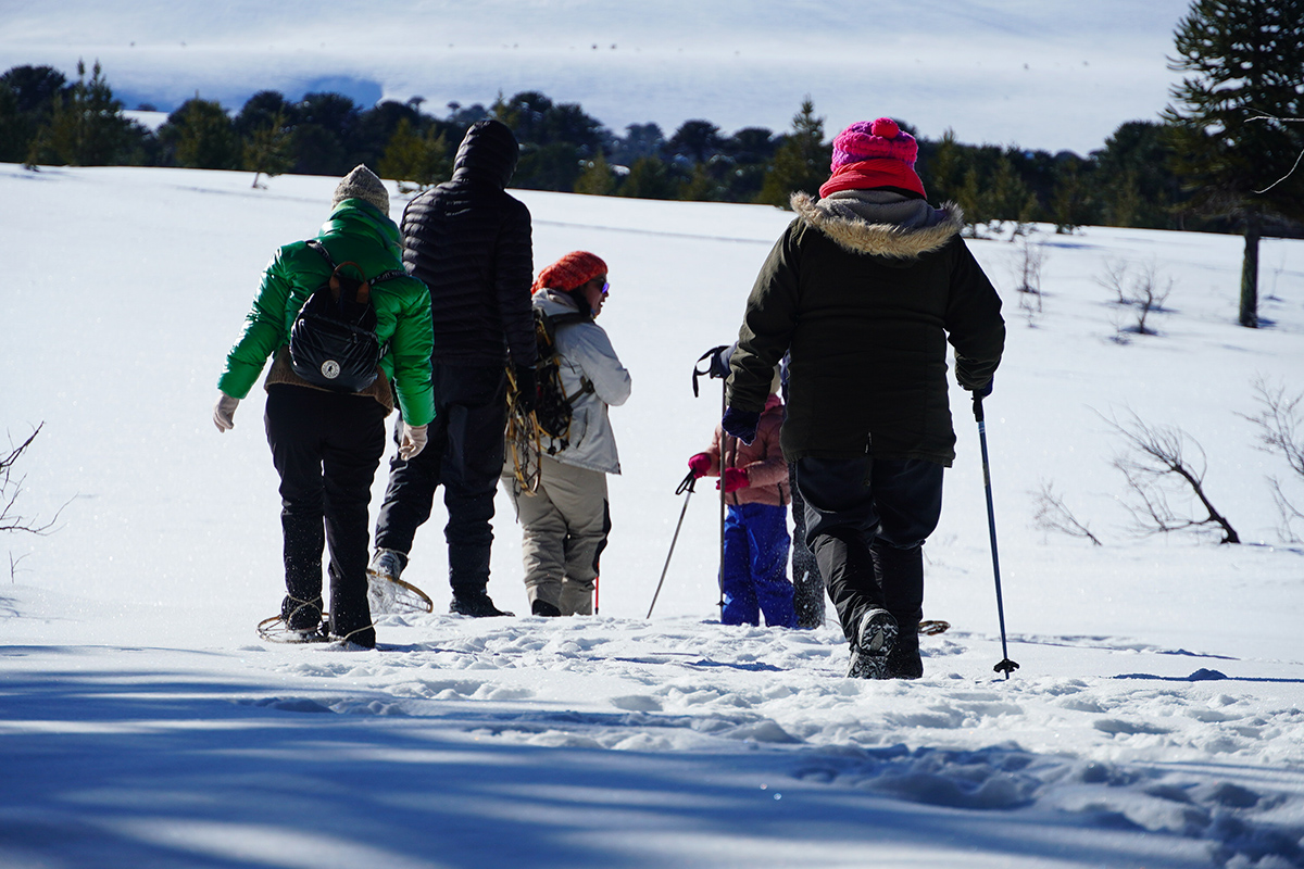 Caminatas en la Nieve con Chiwas
