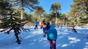 0e1f0b27-31c8-4982-88a6-8114efd64c2f