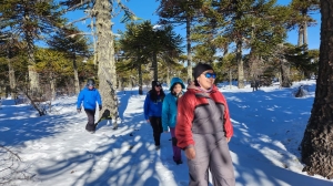 16feb997-c8cf-47aa-b4a2-b526a7d94339