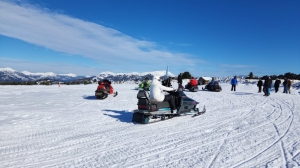 1c1ce123-7876-44b5-b5ff-481211fc1a67