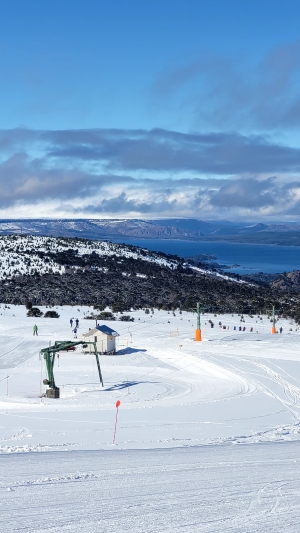 9e35d5d9-785b-4350-9054-657c9653bb1f