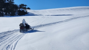 aa97ab62-9c9b-440c-83a9-1775a276b89a